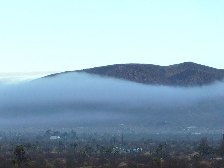 All About Fog All About Fog