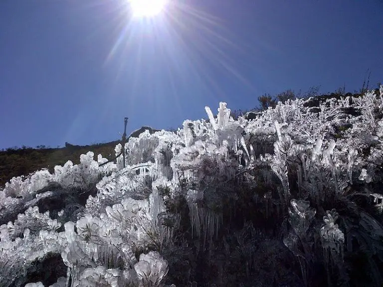 All About Frost All About Frost