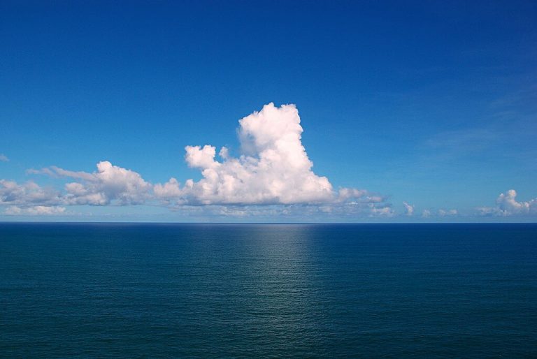 All About Oceans All About Oceans