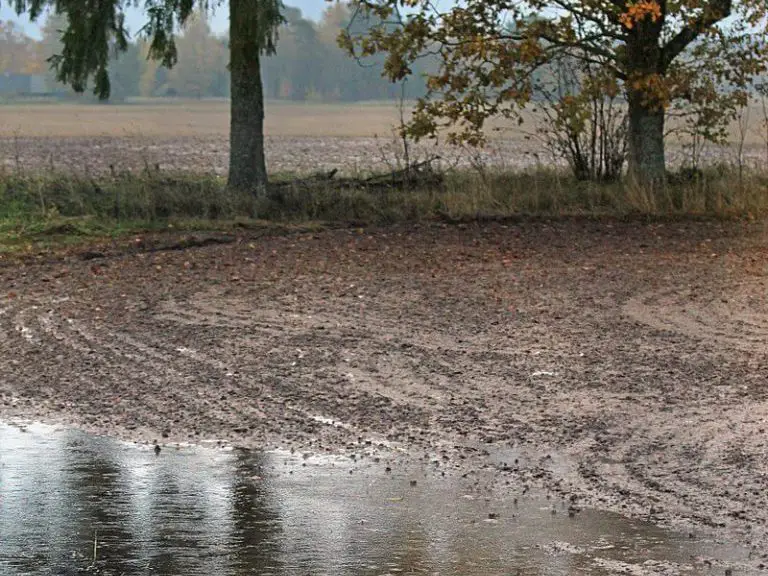 All About Rain All About Rain