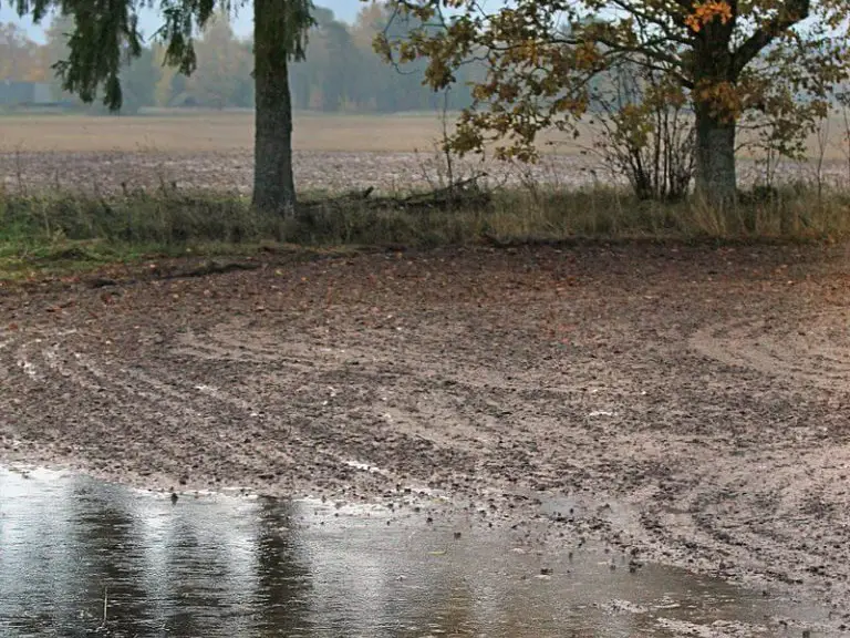 Rain Interesting Facts For Young Students.