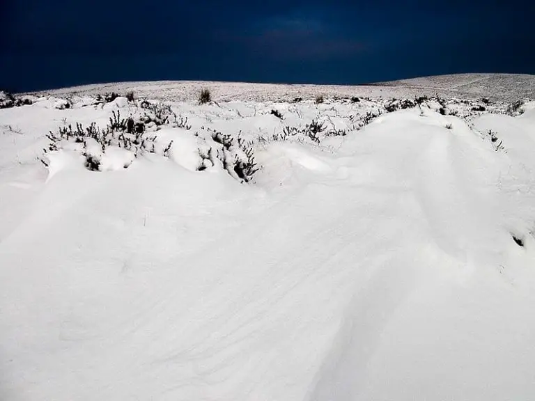 All About Snow All About Snow