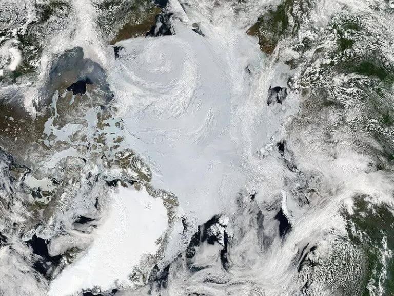 All About The Arctic All About The Arctic