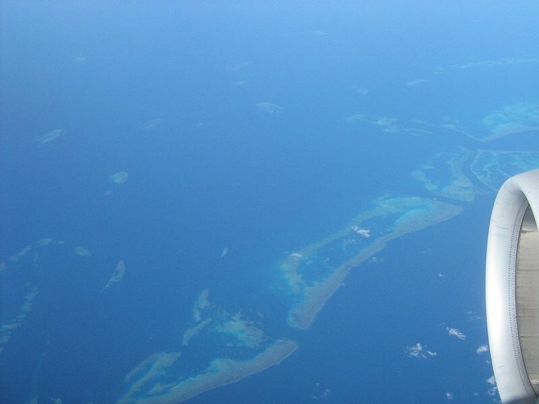 All About The Great Barrier Reef All About The Great Barrier Reef